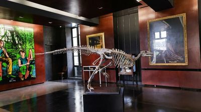 Small Dinosaur Fit for the Living Room to Be Sold at Paris Auction