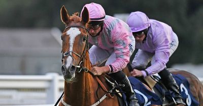 ITV Racing tips: Doncaster picks from Newsboy for Ladies Day card at St Leger meeting