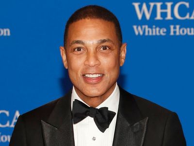 ‘Sexist’ CNN host Don Lemon under fire for asking female guest if she had ‘mommy brain’