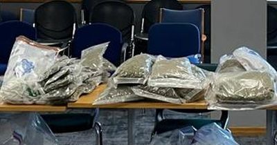 Dublin raid sees three men arrested as huge amount of drugs, scramblers, scooters and boats seized