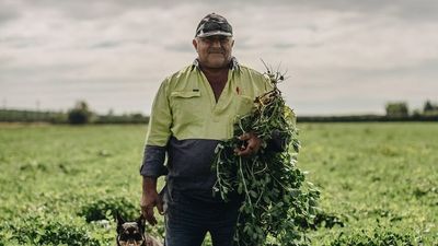 Bega cuts peanut prices paid to Australian farmers, blaming availability of cheap imports