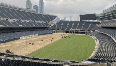 Soldier Field’s new grass an upgrade over ‘sandy field ... spray painted green’