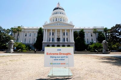 Water use drops 10% in July as California deals with drought