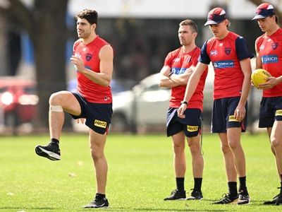Demons declare Petracca fit for AFL final