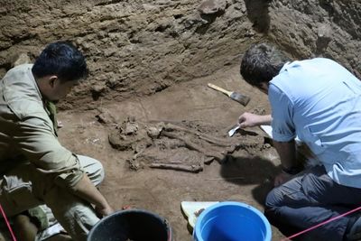 Ancient skeleton reveals amputation surgery 31,000 years ago