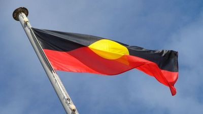 Petition asking Brisbane council to fly Indigenous flags on Story Bridge gains hundreds of signatures