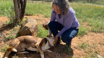 Kate Gunn wins Excellence in Agricultural Research gong at Farmer of the Year Awards