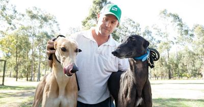 Top Hunter Valley greyhound trainer Jason Mackay to appeal interim suspension