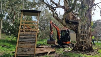 Cubby house demolition leaves Mount Barker children 'devastated' after weeks of work