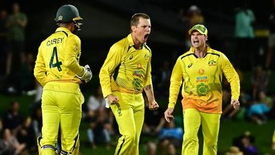 Adam Zampa shines and Aaron Finch fails again as Australia down New Zealand to secure ODI series