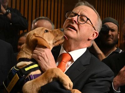 PM takes much-needed 'paws' from politics