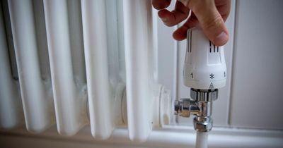 B&Q device costing £15 could save you money on your heating bill says plumber