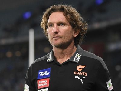 James Hird open to AFL coaching return