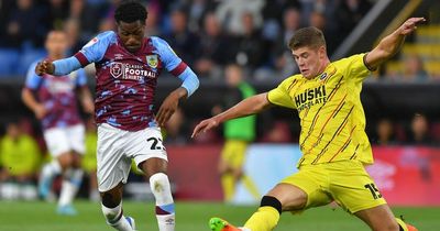 Leeds United news as loanee praised for 'important' ability and Wilfried Gnonto verdict