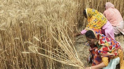 Countries Growing 70% of World's Food Face 'Extreme' Heat Risk by 2045