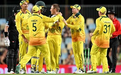 Aus vs NZ, 2nd ODI | Australia wins ODI series after thrashing New Zealand by 113 runs