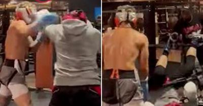 Fans accuse YouTube star Austin McBroom of faking sparring knockdown video