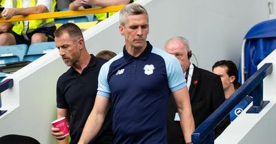 Cardiff City have undergone a huge transition which needs time, but Steve Morison must achieve enough good results to keep fans onside