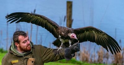 Visit Blair Drummond Safari Park for free and find out more about fascinating birds