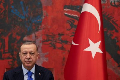 Turkey's Erdogan echoes Putin's gripes over grain exports