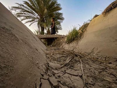 ‘The green land is a barren desert’: water scarcity hits Iraq’s Fertile Crescent