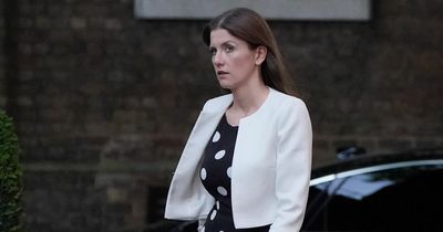 New culture secretary wants to scrap BBC licence fee 'altogether'