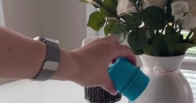 Woman shares two-ingredient hack to help keep your home dust-free for longer