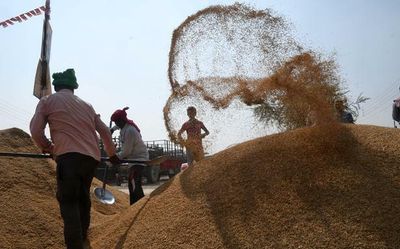 India imposes 20% export duty on non-Basmati rice