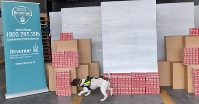 Nearly 2 million illegal cigarettes sniffed out at Dublin Port thanks to detector dog Waffle
