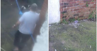 County Durham man spared jail despite being filmed 'stamping' on cat in his back yard during violent attack