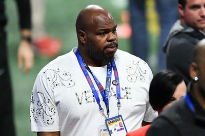 Patriots legend Vince Wilfork gives honest take on Matt Patricia coaching offense