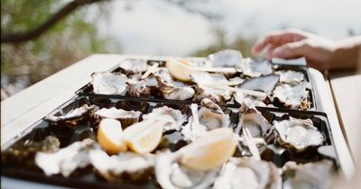 Weekend activities for all ages in Newcastle and the Hunter