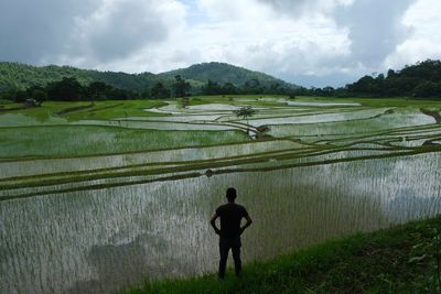 Climate change is hurting India’s rice crop