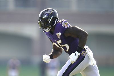 Ravens RB Gus Edwards provides positive update on injury recovery