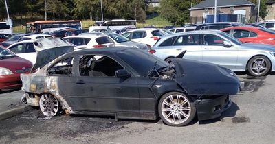 Downpatrick couple return home from 49th wedding anniversary to find car burned out