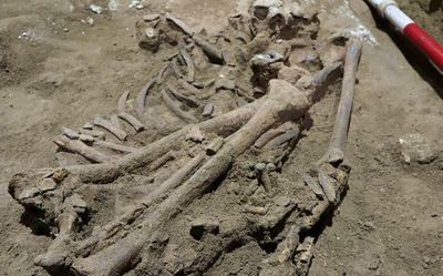 One-legged Stone Age skeleton may show oldest amputation