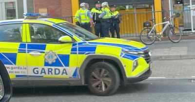 Massive brawl breaks out at popular Dublin pub as dozens of gardai swarm scene