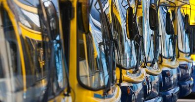 Dublin jobs: Dublin Bus is hiring a performance improvement executive with great salary