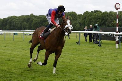 Queen’s horse King’s Lynn will not run at the Curragh
