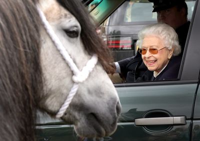 What will happen to the Queen’s horses?