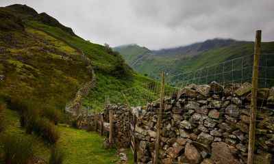 Farming v rewilding: the battle for Borrowdale in the Lake District