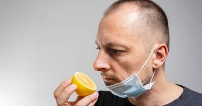 Third of Covid sufferers still report loss of taste and smell 12 weeks later