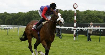 Horse owned by the Queen will not run at Irish Champions Weekend