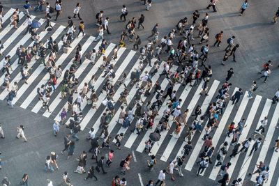 ‘A new way of life’: the Marxist, post-capitalist, green manifesto captivating Japan