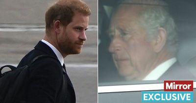 King Charles and Harry showed 'polar opposite' responses to Queen's death, says expert