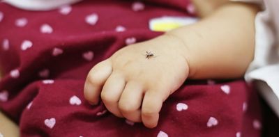 La Crosse virus is the second-most common virus in the US spread by mosquitoes – and can cause severe neurological damage in rare cases