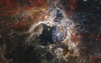 Webb peers into the depths of the Tarantula Nebula