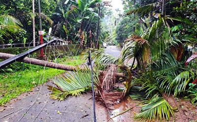 Houses damaged, trees uprooted as whirlwind lashes Thrissur