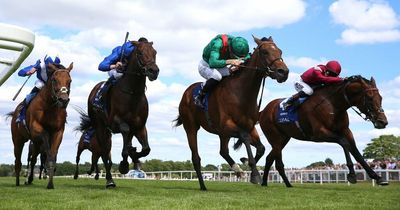 Irish Champion Stakes runner guide with Vadeni favourite to win Leopardstown feature