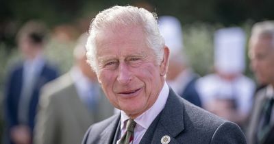 All the times Charles spoke about becoming king - daydreams, meddling and jokes